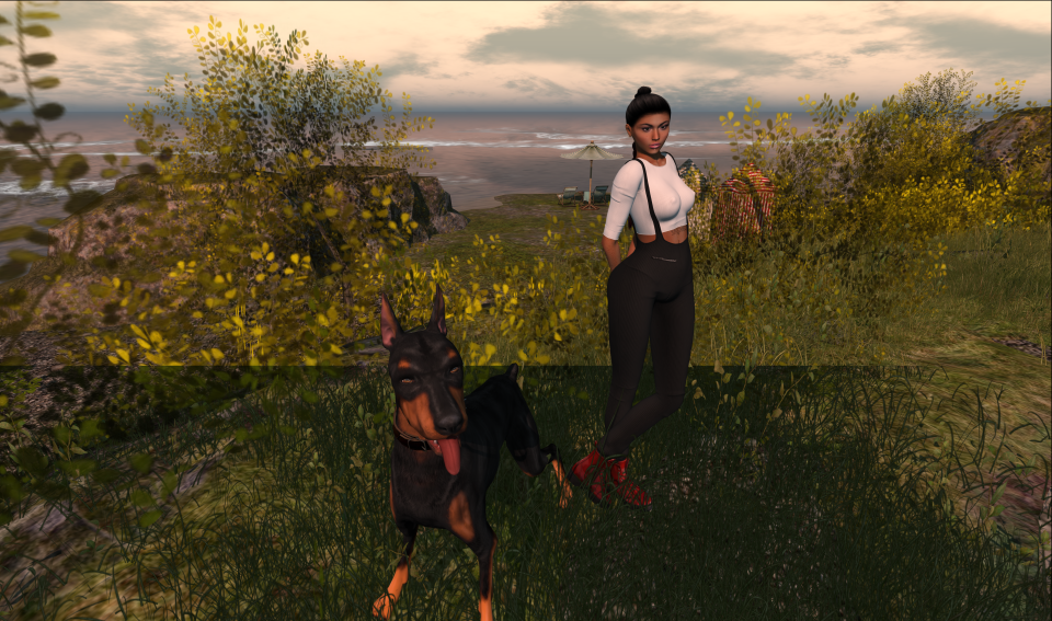 Second Life Animesh Hair Review