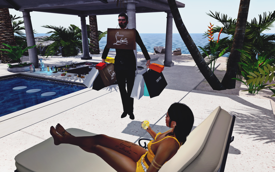 Second Life Women’s Servant – No Money or Sex Involved.