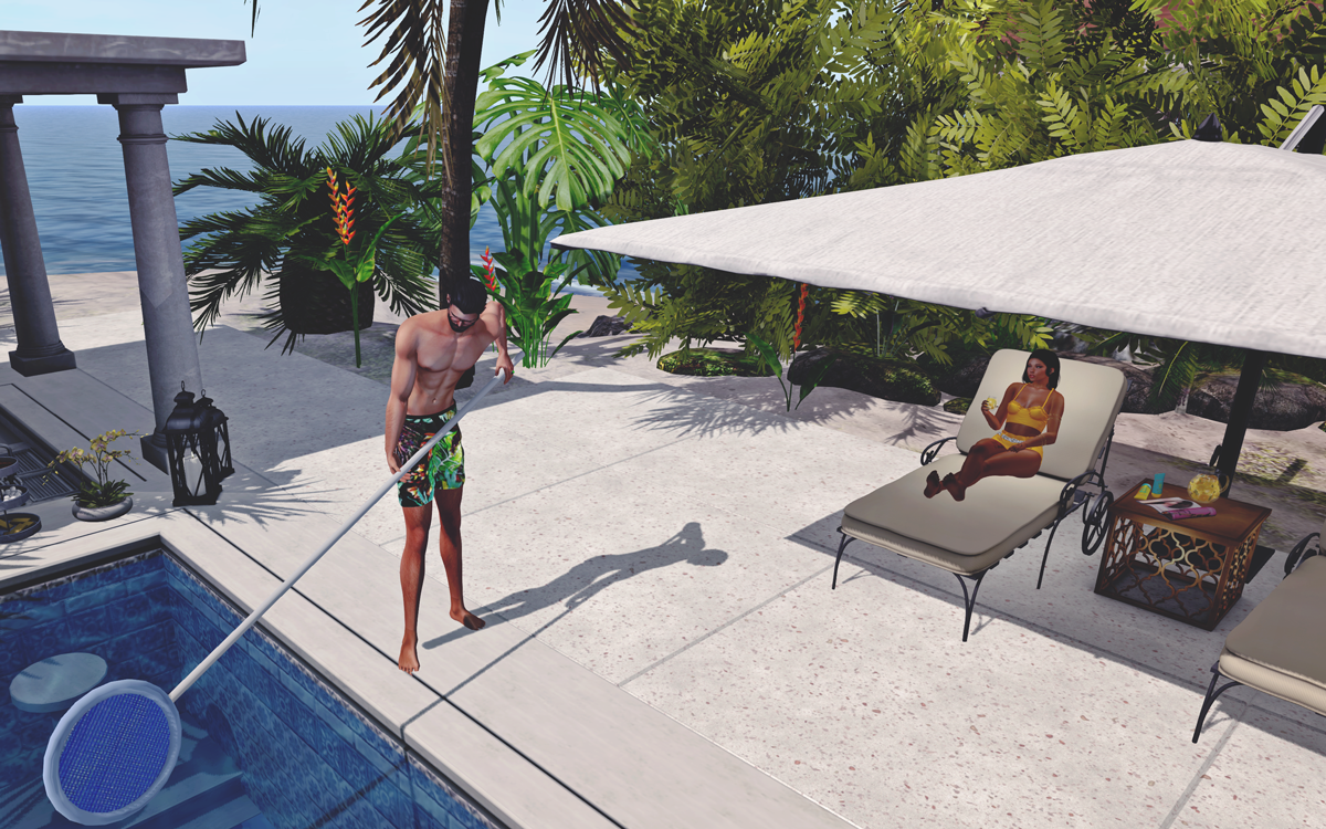 Second Life The Life Of A Servant Boy